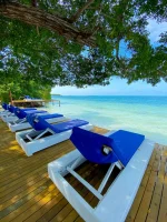 Isla Palma: Un Paraíso Privado en el Caribe Colombiano - Imagen 8