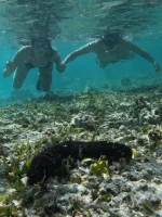 Explora el Mar de Siete Colores en San Andrés: Aventura en Catamarán y Kayak - Imagen 9
