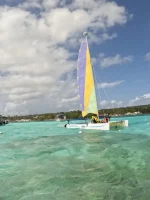 Explora el Mar de Siete Colores en San Andrés: Aventura en Catamarán y Kayak - Imagen 10