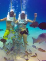 Aquanautas en San Andrés: Vive la Magia del Mundo Submarino - Imagen 3