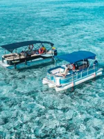 Tour Mundo Marino: Explora la Espectacular Vida Submarina de San Andrés