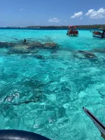 Tour Mundo Marino: Explora la Espectacular Vida Submarina de San Andrés - Imagen 6