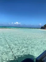 Tour Mundo Marino: Explora la Espectacular Vida Submarina de San Andrés - Imagen 8