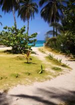 Johnny Cay en San Andrés - Imagen 13