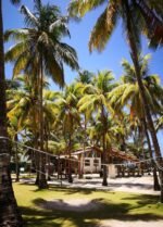 Johnny Cay en San Andrés - Imagen 7