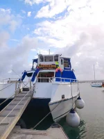 Noche Blanca en San Andrés – Fiesta Exclusiva en el Mar Caribe - Imagen 11