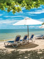 Pasadía en el Hotel Isla del Encanto – Tu Refugio Exclusivo en Barú - Imagen 4