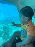 VIP Semi Submarino Manatí: Explora el Mundo Submarino de San Andrés - Imagen 5