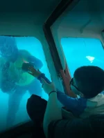 VIP Semi Submarino Manatí: Explora el Mundo Submarino de San Andrés - Imagen 9