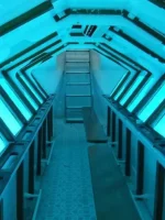 VIP Semi Submarino Manatí: Explora el Mundo Submarino de San Andrés - Imagen 3