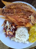 Vive la Experiencia Única del Volcán del Totumo en Cartagena - Imagen 8