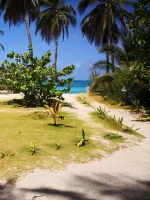 Rolling Trip en San Andrés – El Tour Completo para Vivir la Isla al Máximo - Imagen 5