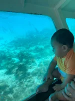 Rolling Trip en San Andrés – El Tour Completo para Vivir la Isla al Máximo - Imagen 7