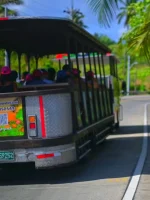 Tren Vuelta a la Isla en San Andrés – Un Recorrido Único y Relajante por la Isla - Imagen 6