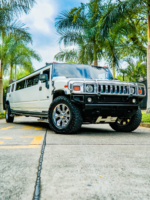 Disfruta de Luxury Limosina en Cartagena