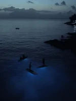 Experiencia Nocturna en Paddleboard – Aventura Mágica en San Andrés - Imagen 2