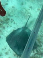 Tour Exclusivo en bote de Cristal - Imagen 10