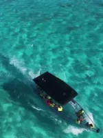 Tour Exclusivo en bote de Cristal - Imagen 12