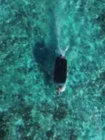 Tour Exclusivo en bote de Cristal - Imagen 13