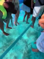 Tour Exclusivo en bote de Cristal - Imagen 14