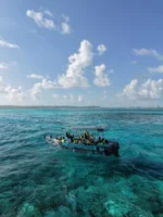 Tour Exclusivo en bote de Cristal - Imagen 7