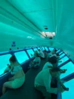 Semi Submarino Nautilus en San Andrés - Imagen 2